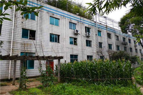 福建厂房倒塌后安全检测鉴定 福建钢结构工程检测项目 福建钢结构厂房检测价格 新闻快报